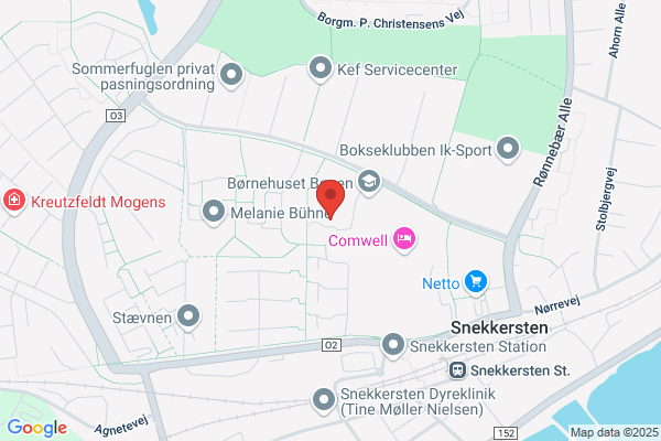 Tømreren