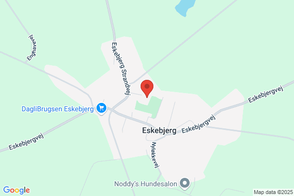 Eskebjerg spejderne