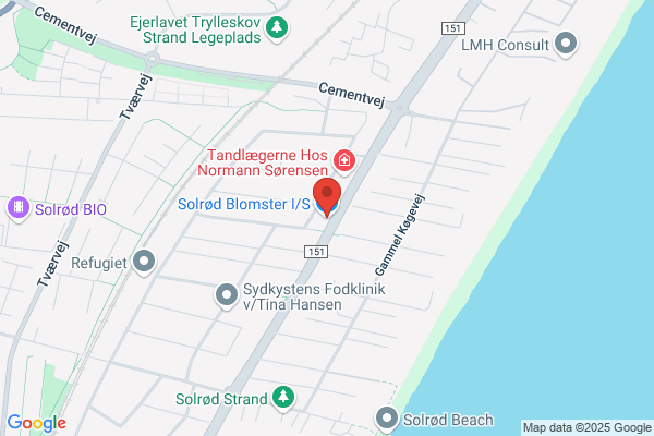 Solrød Blomster