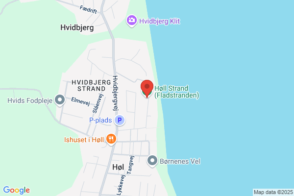 Falkjær, Ole