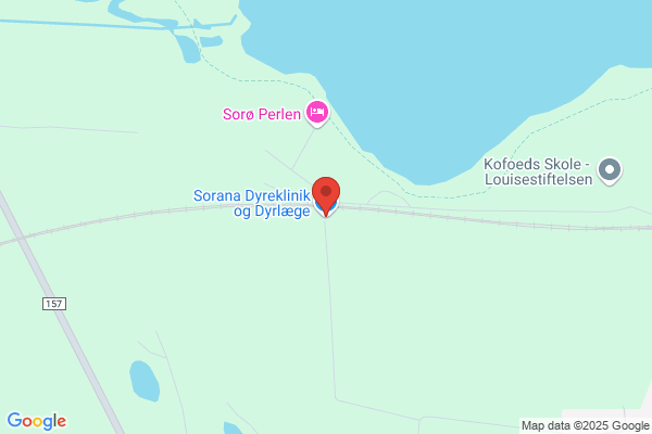 Sorana Dyreklinik & Kattepension