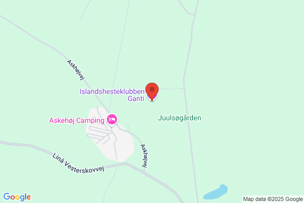 Islandshesteklubben "Ganti"