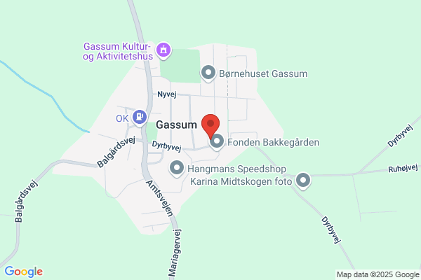 Randers Tagdækning