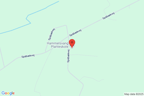 Højmoses Planteskole