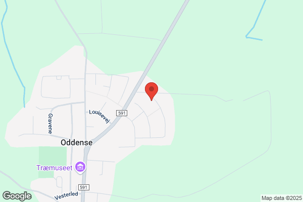 KFUM Spejderne Oddense/Otting