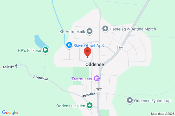 Dagli'Brugsen Oddense