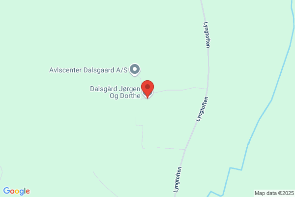 Dalgaard, Max