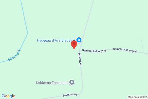 Hedegaard, Peder P