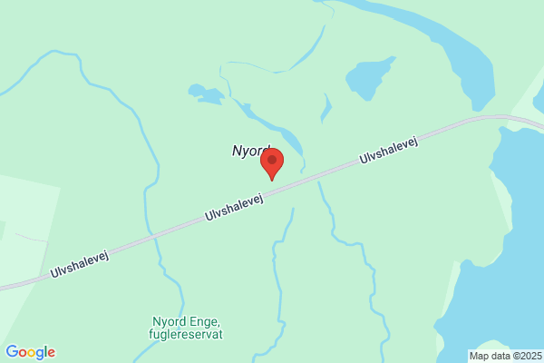 N. N. F.