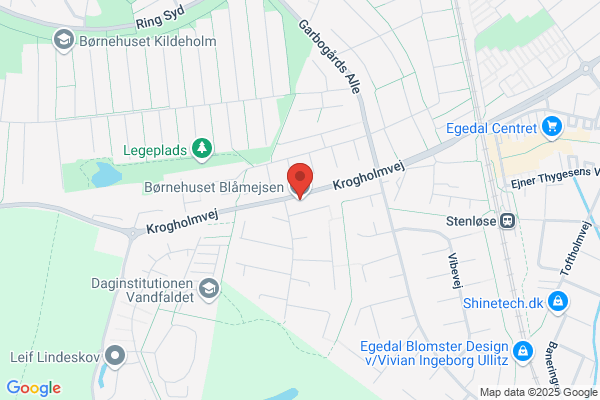 Blåmejsen, Børnehuset