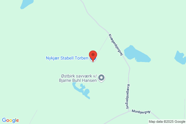 Kjelstrøm Torben