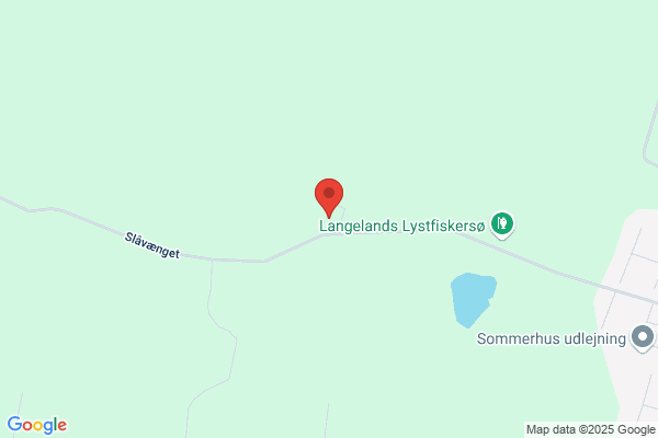 Skovly Ferie & Kursusejendom