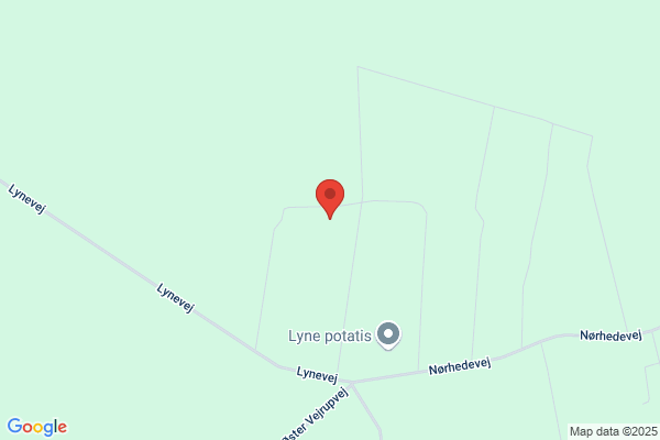 Støiberg Kim