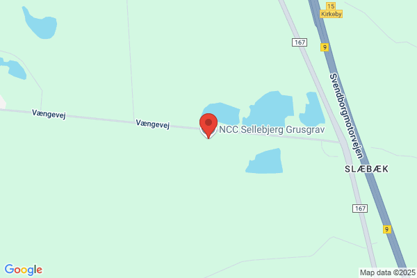 Dansk Geo-servEx a/s DGE