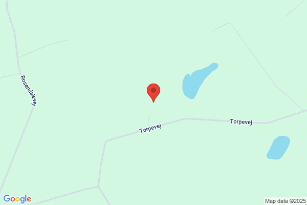 Hansen, Arne