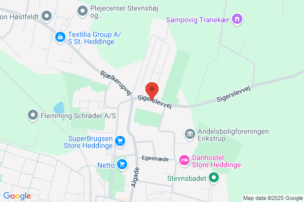 Det Danske Spejderkorps