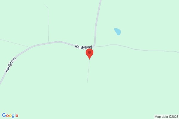 Det Radikale Venstre i Fjends