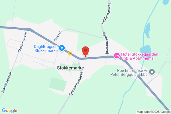 Stjernen, Discotek