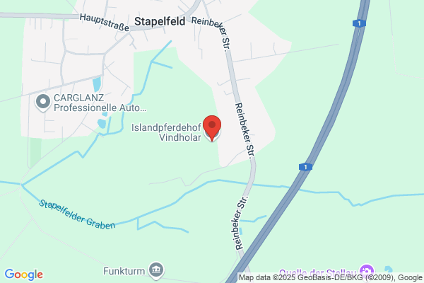 Islandshesteklubben Randver