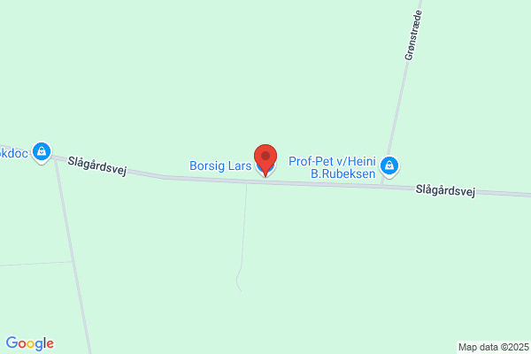 Borsig Lars
