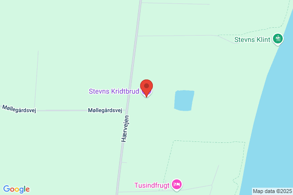 Stevns Kridtbrud
