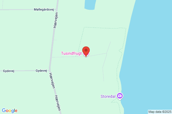 Teglbjærg, Janne Stubbe