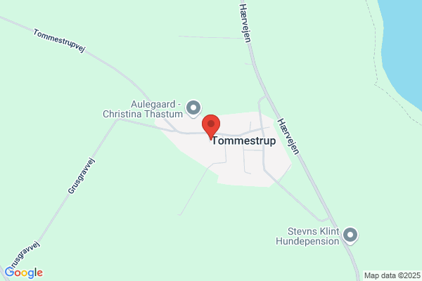 Tommestrup Vandværk