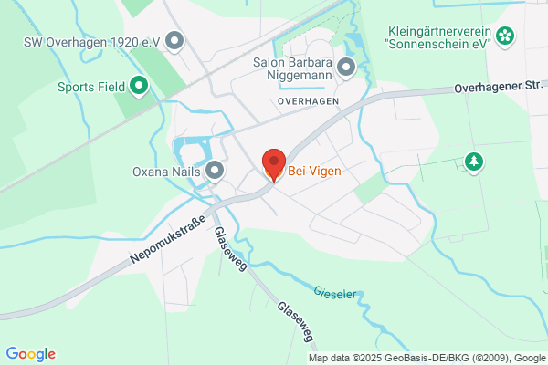 Vigen, Salon