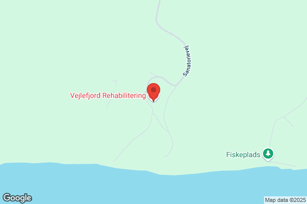 Videnscenter for Hjerneskade