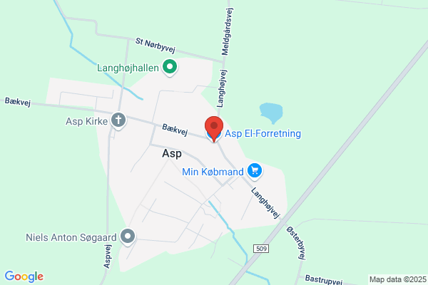 ASP Elforretning