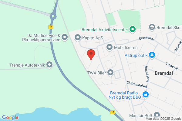 Venstre, Hjerm