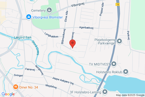 Holstebro Tagpapservice