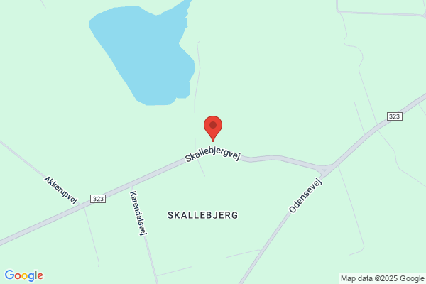 Klør Fem Hjemmeservice