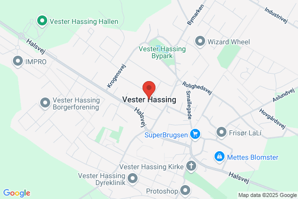 V. Hassing Malerforretning