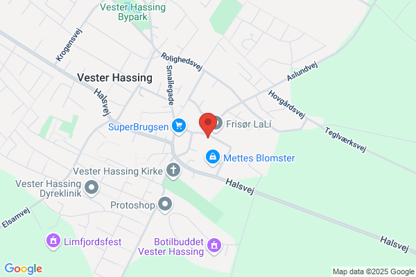 Vester Hassing Antenneforening