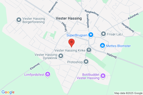 Hassinghave