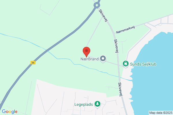 Guldsmeden