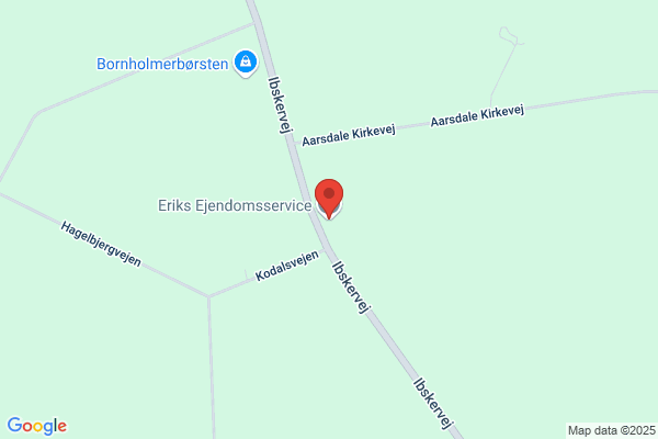 Eriks Ejendomssevice