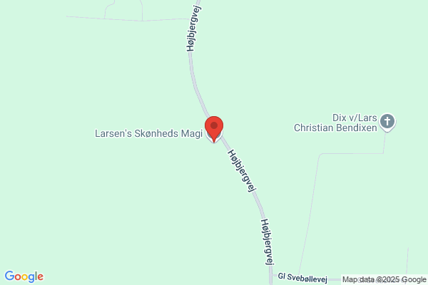 Larsen, Steen