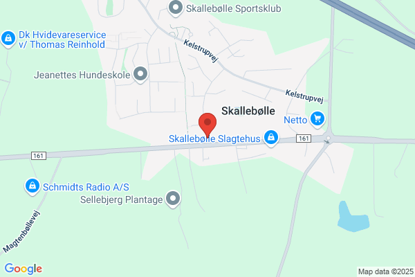 SK Biler