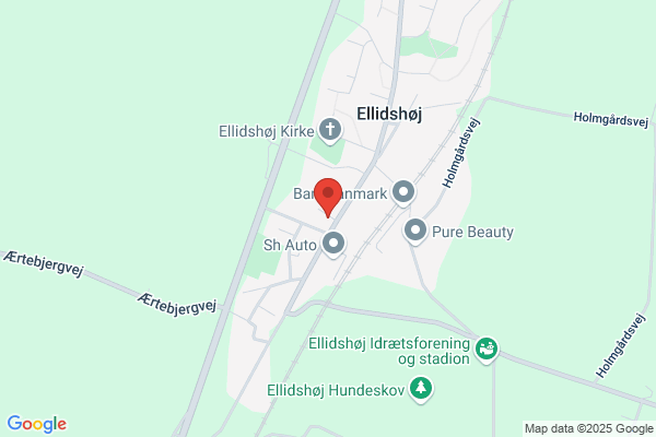 DUS Spor A - Ellidshøj Skole