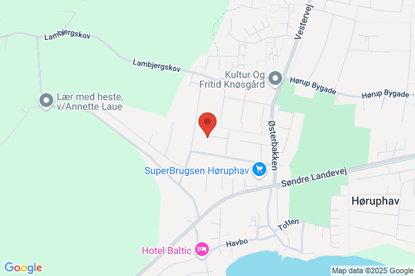 Alsisk Revision Revisor FDR