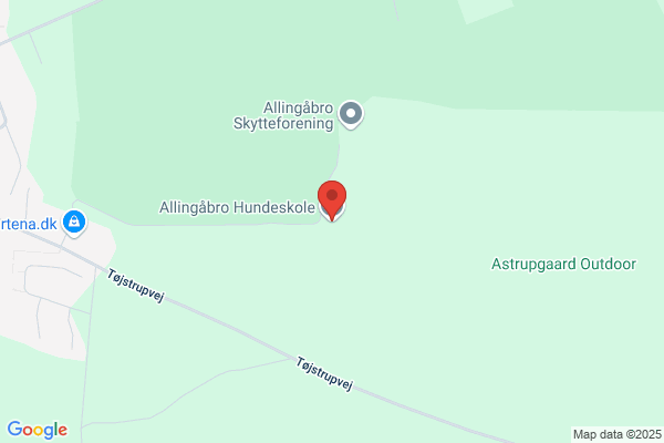 Allingaabro Hundeskole