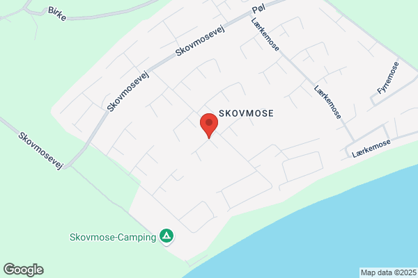Birkemose