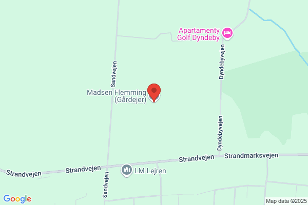 Madsen, Flemming