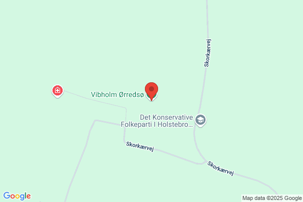 Vibholm Golfbane