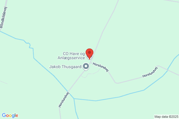 C.O. Have & Anlægsservice