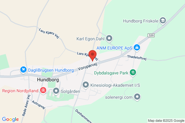 Hundborg Auto & Smedie, Tage Fuglsang
