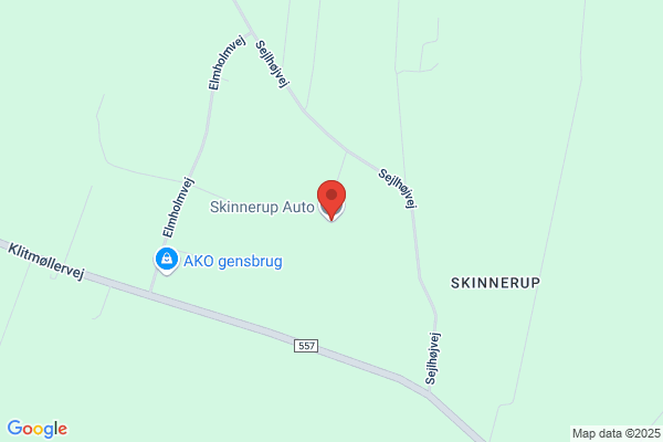 Skinnerup Auto