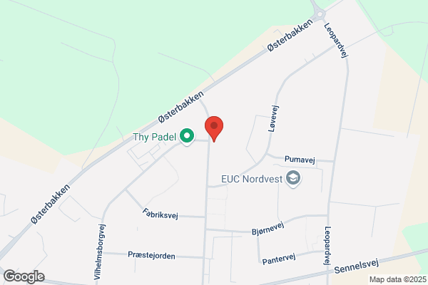Erhvervsbiler Thisted